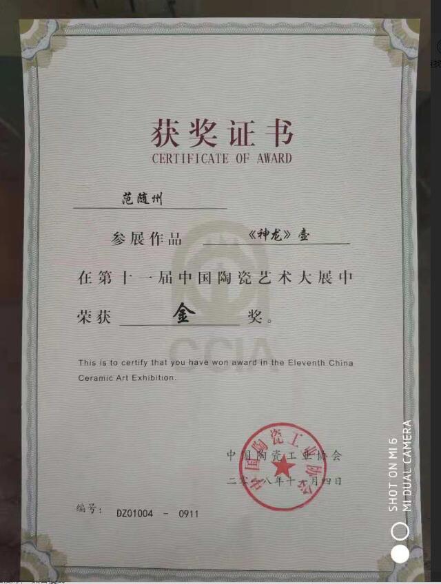 获金奖证书.jpg